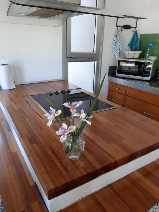 Loft Del Barranco Lejlighed Colonia del Sacramento Eksteriør billede